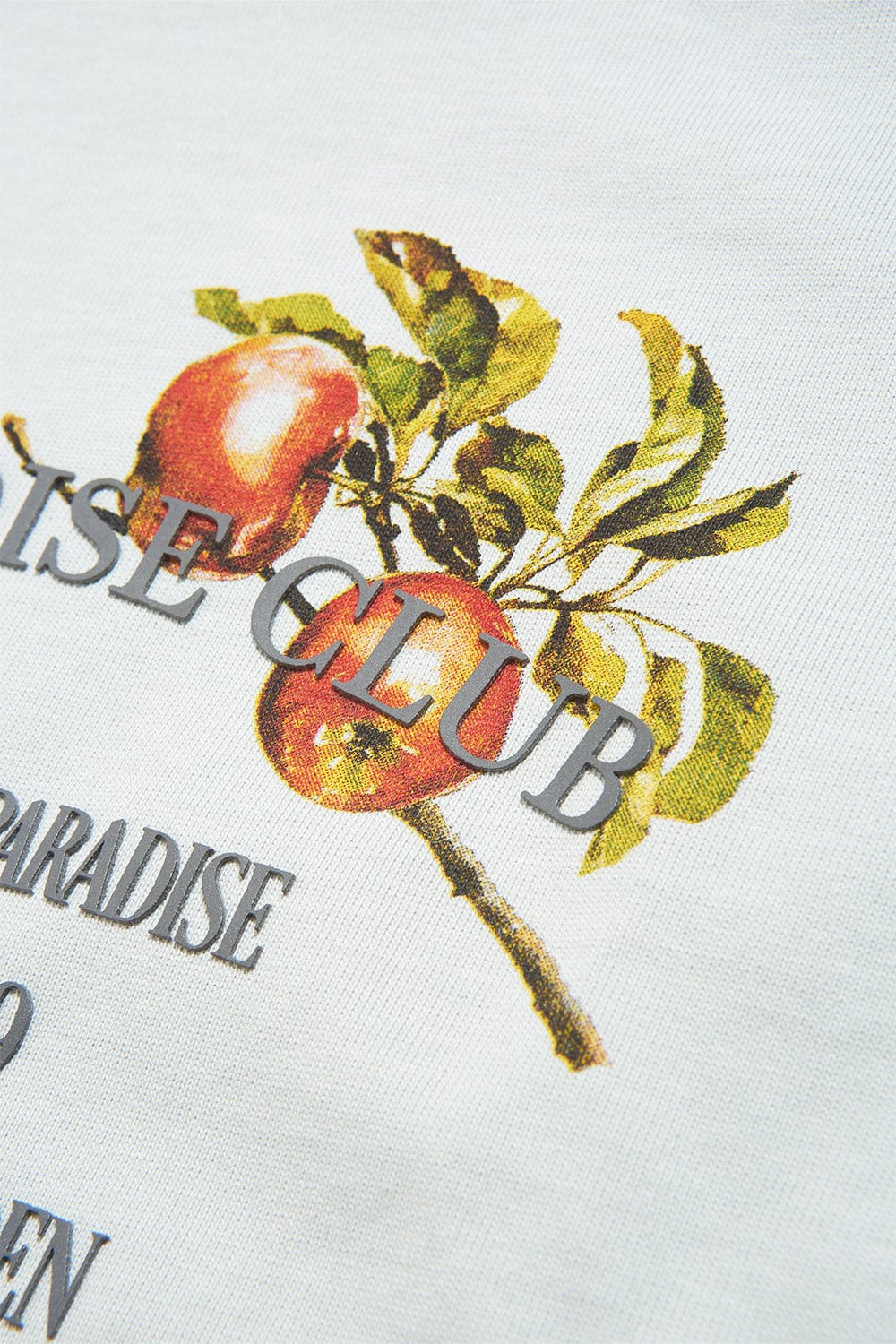 Thumbnail 15